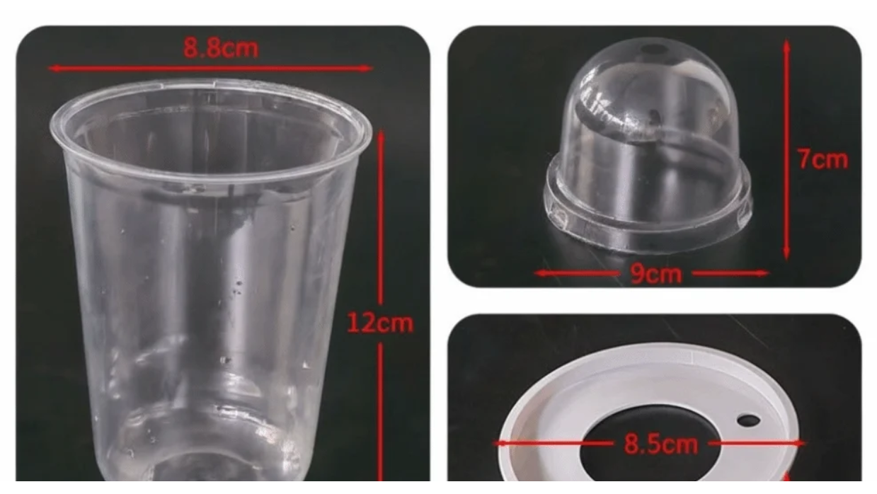 Hydrocultuur Zaadplantpot – Transparante Kunststof Kweekbeker met Root View Ontwerp