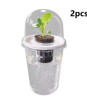 Hydrocultuur Zaadplantpot – Transparante Kunststof Kweekbeker met Root View Ontwerp