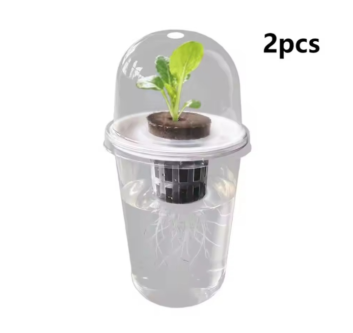 Hydrocultuur Zaadplantpot – Transparante Kunststof Kweekbeker met Root View Ontwerp