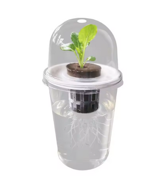 Hydrocultuur Zaadplantpot – Transparante Kunststof Kweekbeker met Root View Ontwerp