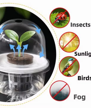 Hydrocultuur Zaadplantpot – Transparante Kunststof Kweekbeker met Root View Ontwerp