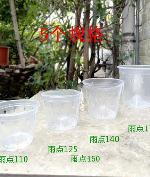 Transparante Orchidee Pot – Kunststof Plantenpot met Ventilatiegaten voor Wortelcontrole