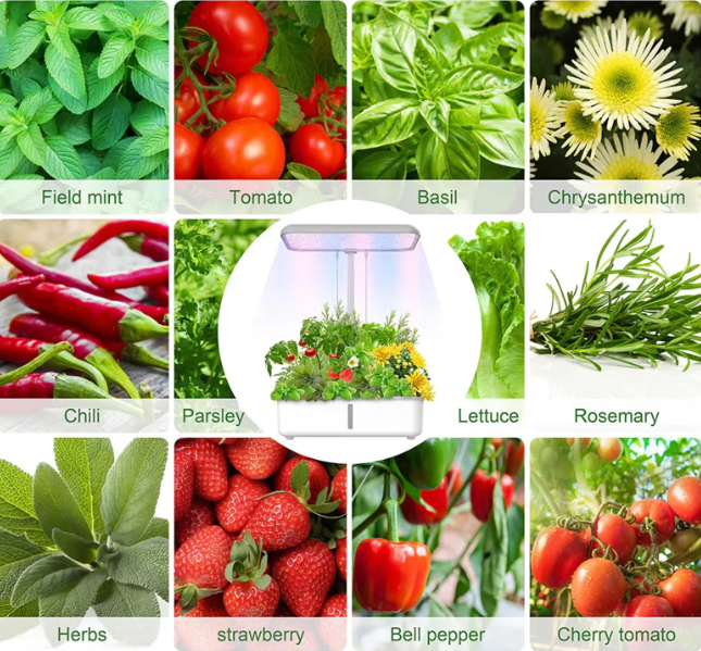WiFi Hydrocultuur Kweeksysteem met LED Groeilicht – Slimme Indoor Kruidentuin met 14 Plantplaatsen