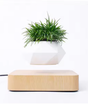 Zwevende Bonsai Bloempot met Magnetische Levitatie – Roterende Drijvende Plantenpot voor Bureau en Interieur
