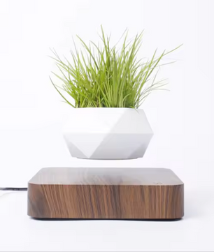 Zwevende Bonsai Bloempot met Magnetische Levitatie – Roterende Drijvende Plantenpot voor Bureau en Interieur