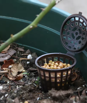 10 Stuks Meststof Manden voor Planten – Kunststof Mestkorf met Deksel voor Orchidee en Bonsai