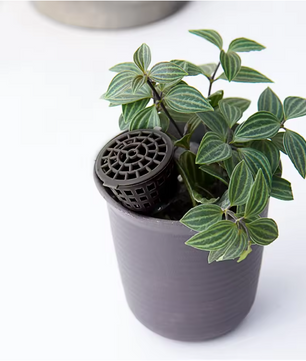 10 Stuks Meststof Manden voor Planten – Kunststof Mestkorf met Deksel voor Orchidee en Bonsai