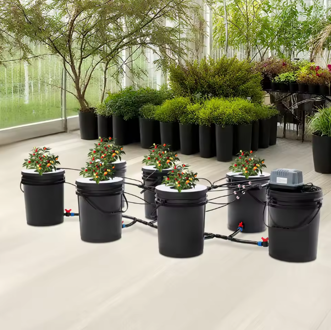 7-Emmer Hydrocultuur Kweeksysteem – Complete Grondloze Teeltset met Luchtpomp voor Groenten en Kruiden