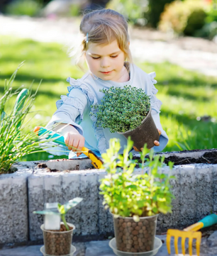 72-Delige Set Transparante Kweekpotten met Dienbladen en Plantenlabels – Plastic Zaai- en Kweekpotten met Drainage