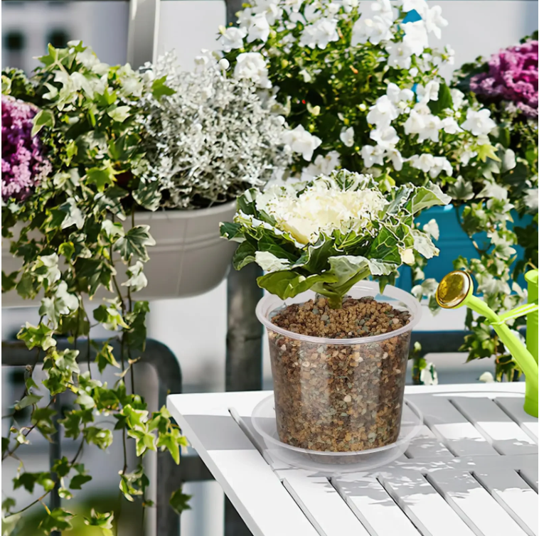 72-Delige Set Transparante Kweekpotten met Dienbladen en Plantenlabels – Plastic Zaai- en Kweekpotten met Drainage