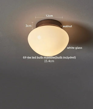 Moderne LED Plafondlamp van Glas en IJzer – Nordic en Japanse Stijl – Minimalistische G9 Plafondverlichting voor Woonkamer, Slaapkamer en Gang