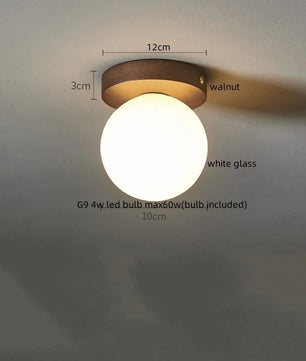 Moderne LED Plafondlamp van Glas en IJzer – Nordic en Japanse Stijl – Minimalistische G9 Plafondverlichting voor Woonkamer, Slaapkamer en Gang