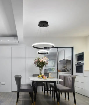 2-Ring Zwarte Hanglamp – Moderne LED Plafondlamp van Aluminium met Dubbele Ronde Ringen – 27W Koud Wit Licht 6500K voor Woonkamer en Eetkamer