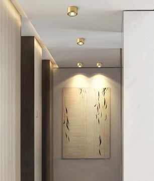 Koperen LED Plafondlamp – Verstelbare Opbouwspot van Massief Koper – Moderne LED Spotverlichting voor Gang, Woonkamer en Badkamer