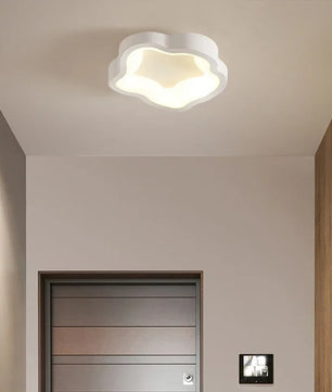 Minimalistische LED Plafondlamp van Acryl – Moderne Opbouw Binnenverlichting voor Hal, Entree, Garderobe en Balkon