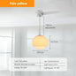 Ronde Hanglamp – Moderne Balvormige Plafondlamp voor Woonkamer, Restaurant & Café