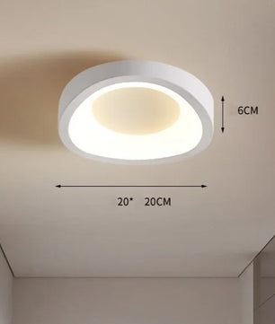 Minimalistische LED Plafondlamp van Acryl – Moderne Opbouw Binnenverlichting voor Hal, Entree, Garderobe en Balkon